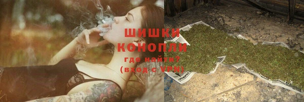PSILOCYBIN Баксан