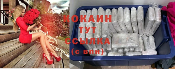 прущие крисы Балахна