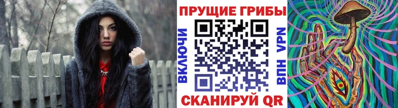 Псилоцибиновые грибы мицелий  цены наркотик  Бикин 